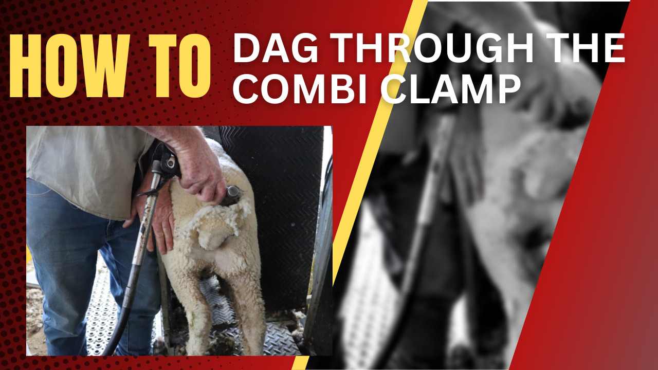 How-to video on dagging sheep with the Combi Clamp